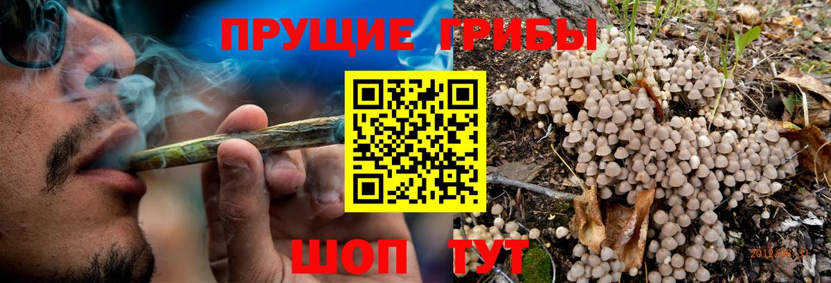 Псилоцибиновые грибы прущие грибы  купить закладку  Юрга  Вход с VPN 
